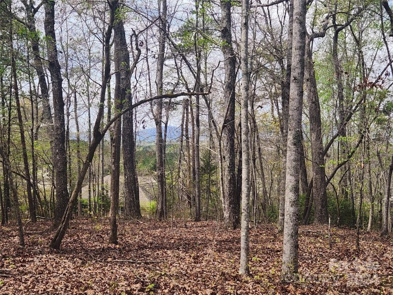 Property image 3 at 00 Millcreek Way, Rutherfordton, NC 28139