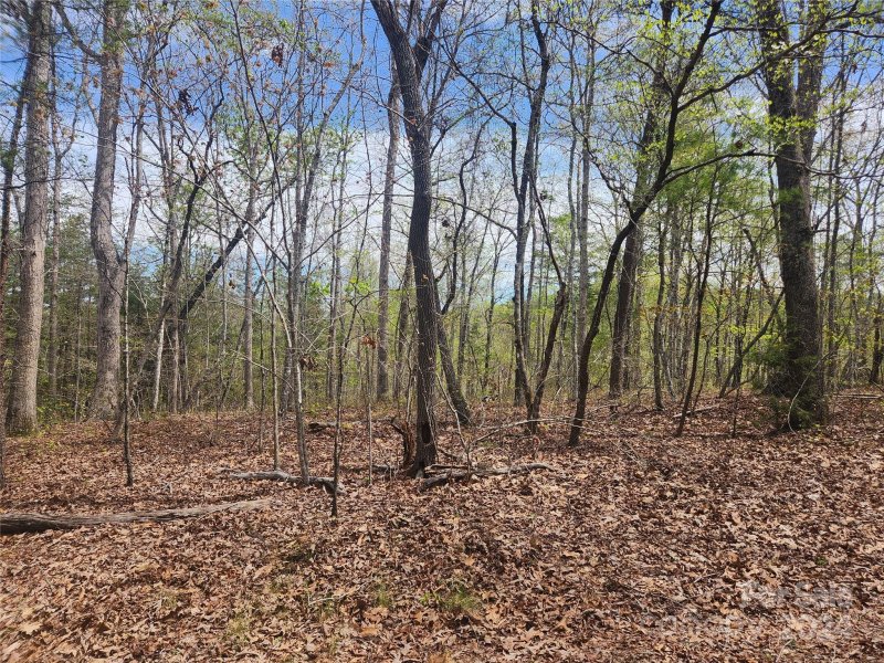 Property image 4 at 00 Millcreek Way, Rutherfordton, NC 28139