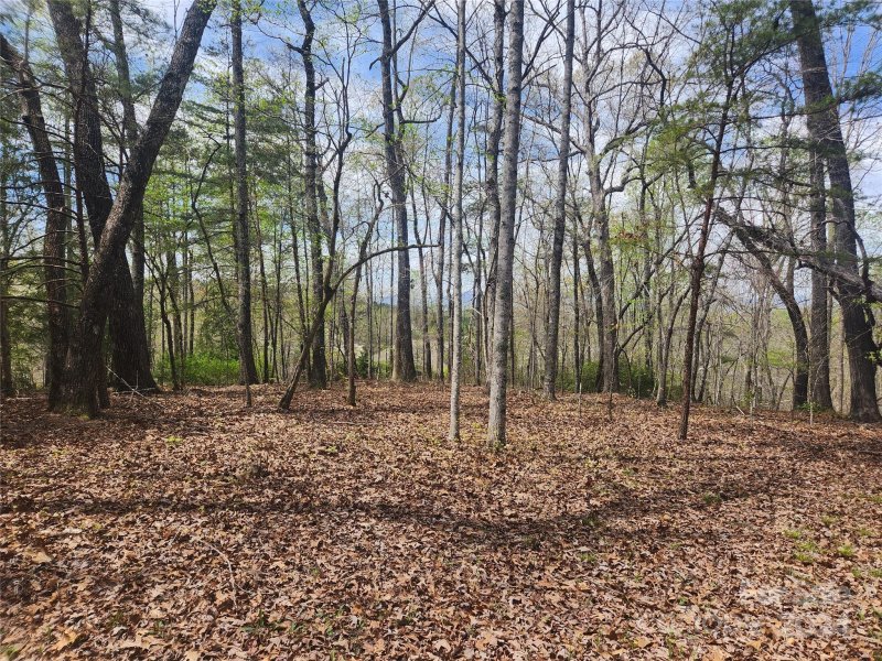 Property image 5 at 00 Millcreek Way, Rutherfordton, NC 28139