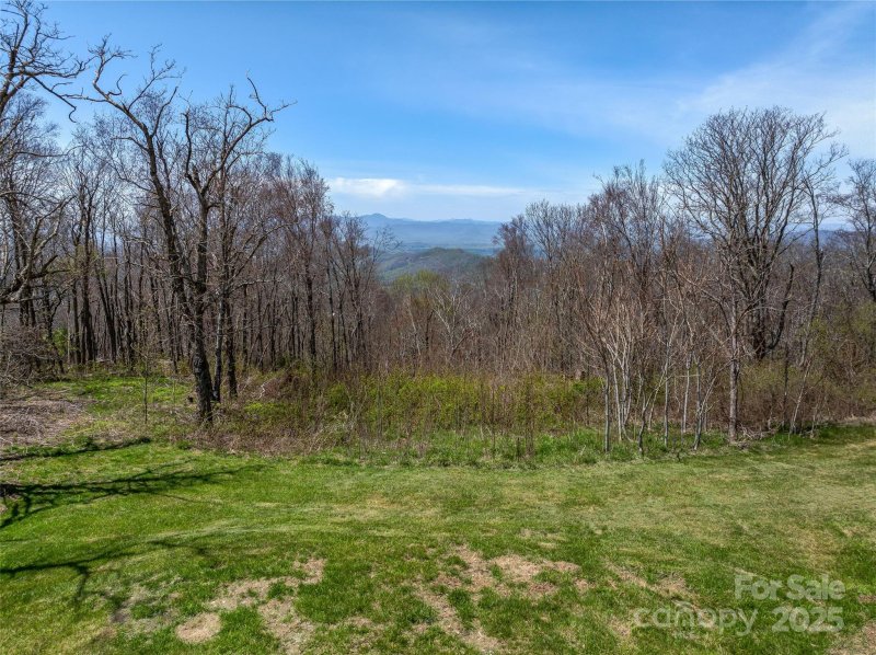 Property image 5 of 487 Grand Highlands Drive in Grand Highlands at Bearwallow, Hendersonville, NC 28792