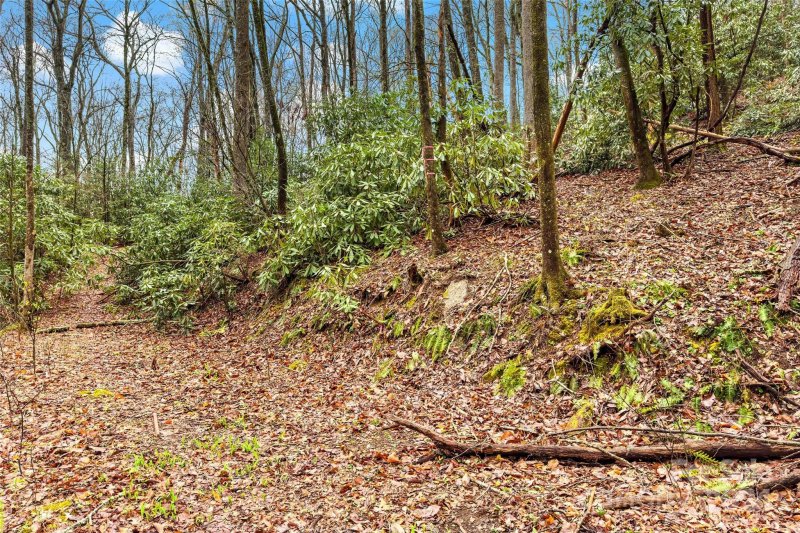 Property image 2 at V L Hemlock Drive, Black Mountain, NC 28711