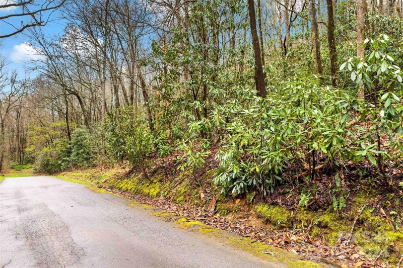 Property image 3 at V L Hemlock Drive, Black Mountain, NC 28711