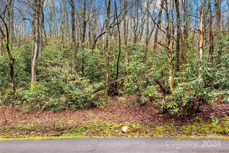 Property image 4 at V L Hemlock Drive, Black Mountain, NC 28711