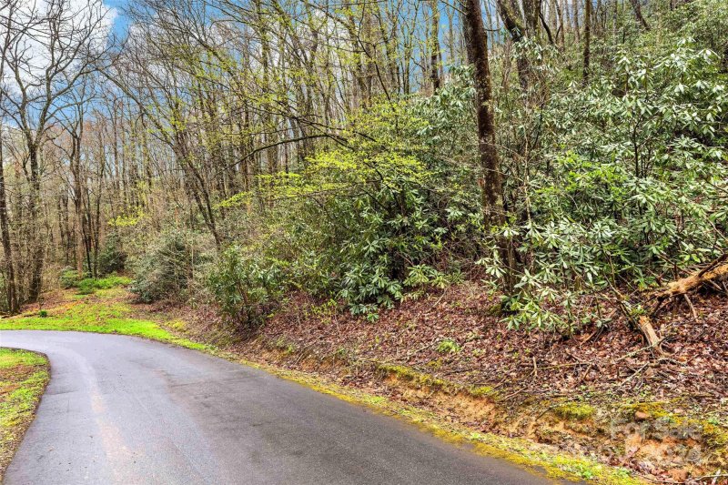 Property image 5 at V L Hemlock Drive, Black Mountain, NC 28711