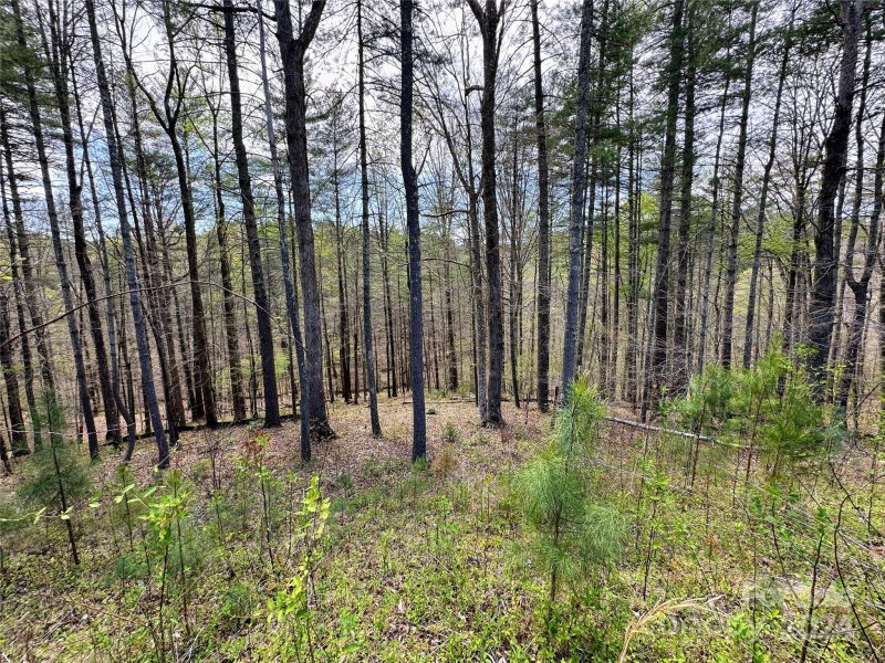 Property image 5 of 234 E Settings Boulevard in Lake Rhodhiss Estates, Valdese, NC 28609