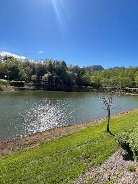 Property image 2 at 110 Cornell Circle, Lake Lure, NC 28746