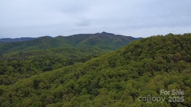 Property image 3 of 27 Sweetwater Ridge Road in Sweetwater Ridge, Balsam Grove, NC 28708