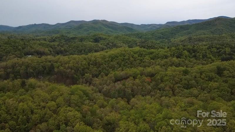 Property image 5 of 27 Sweetwater Ridge Road in Sweetwater Ridge, Balsam Grove, NC 28708