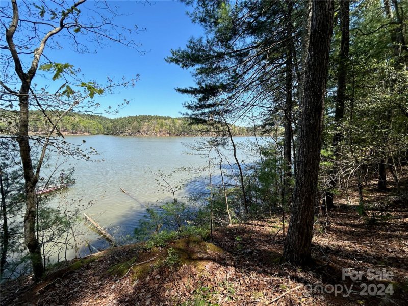 Property image 2 at 101 Beacon Ridge Drive, Connelly Springs, NC 28612