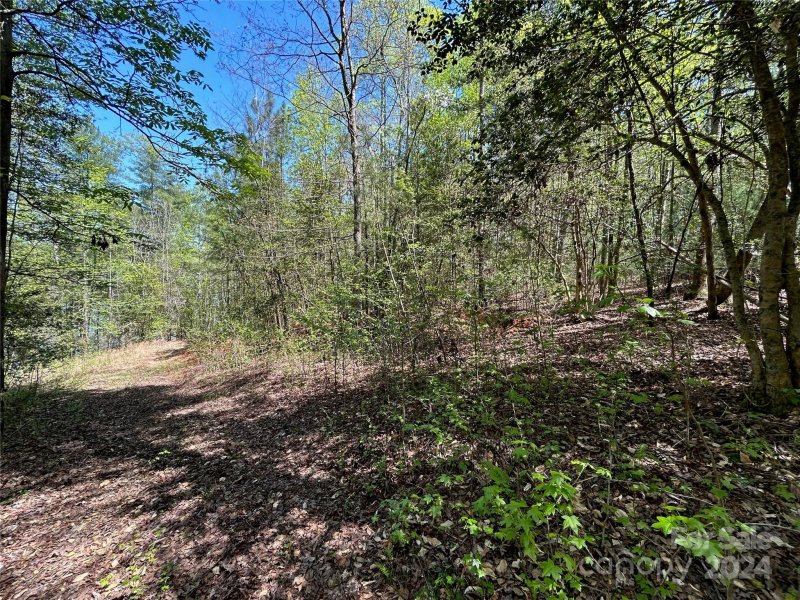 Property image 3 at 101 Beacon Ridge Drive, Connelly Springs, NC 28612