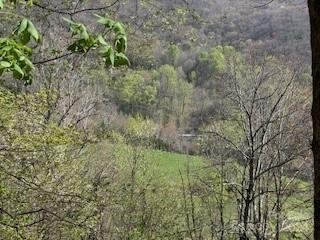 Property image 3 of 7a Chestnut Flats Lane in Villages of Plott Creek, Waynesville, NC 28786