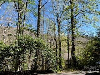 Property image 4 of 7a Chestnut Flats Lane in Villages of Plott Creek, Waynesville, NC 28786