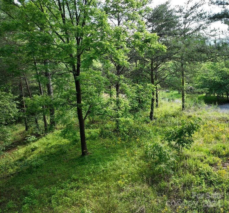 Property image 3 at 223 Lot 13 Easy Street, Lake Lure, NC 28746