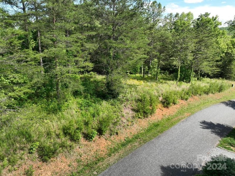 Property image 4 at 223 Lot 13 Easy Street, Lake Lure, NC 28746