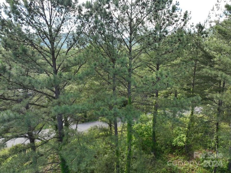 Property image 5 at 223 Lot 13 Easy Street, Lake Lure, NC 28746