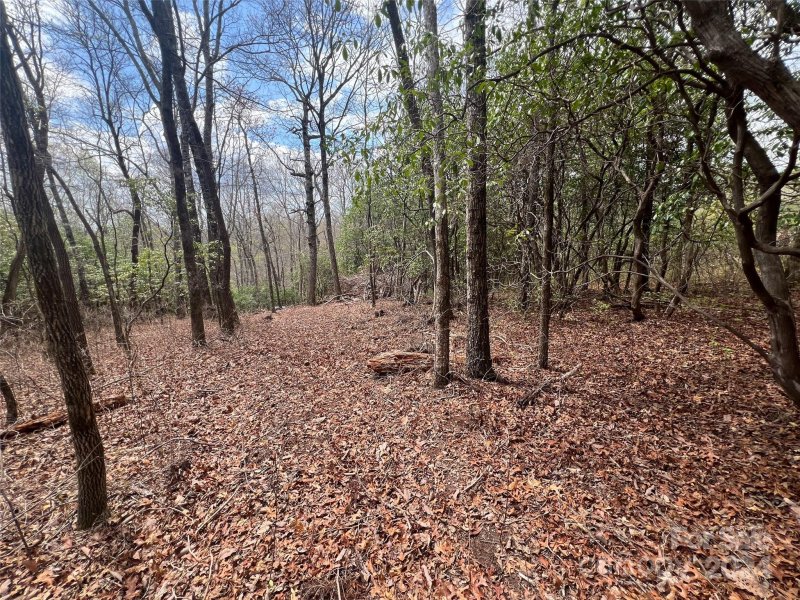 Property image 2 of 999 Mulberry Circle in Sequoyah Woods, Brevard, NC 28712