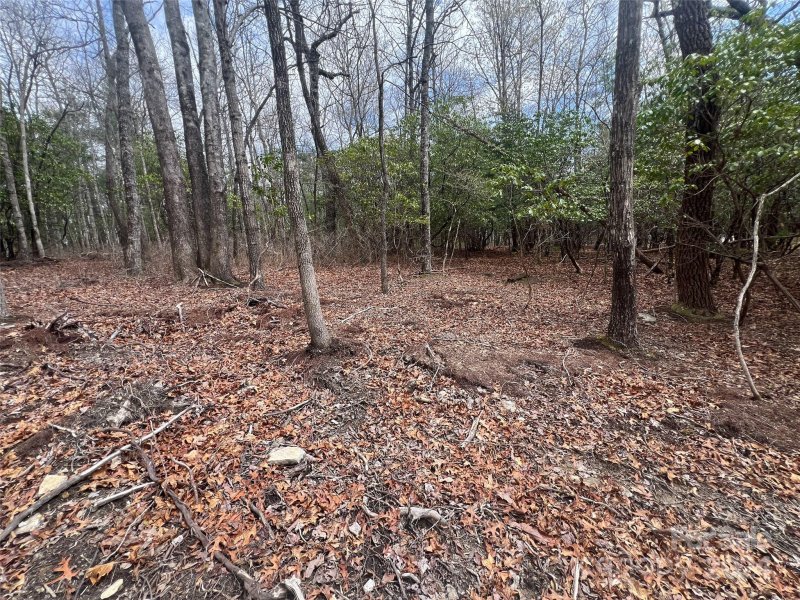 Property image 5 of 999 Mulberry Circle in Sequoyah Woods, Brevard, NC 28712