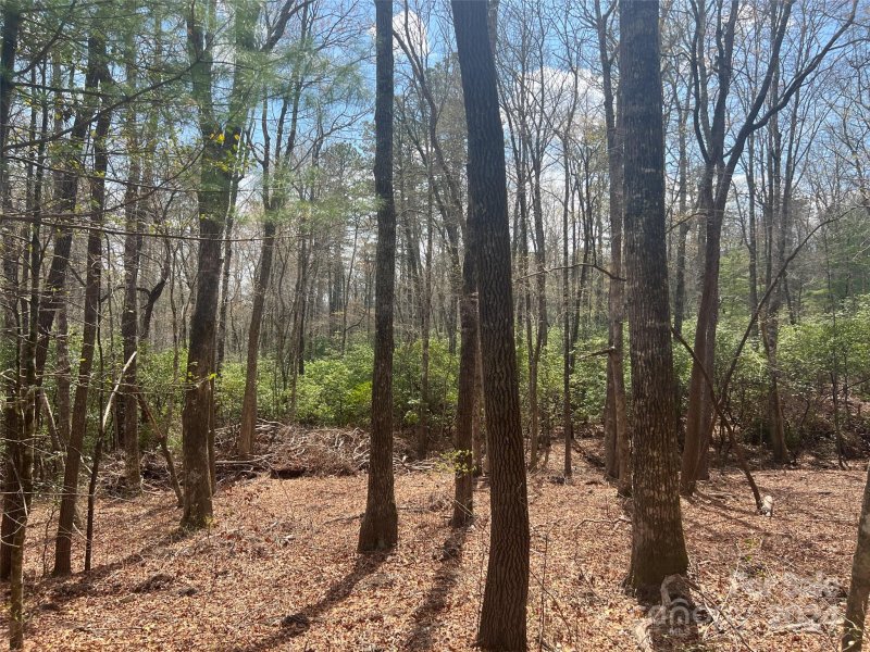 Property image 3 at 999 Sequoyah Woods Drive, Brevard, NC 28712