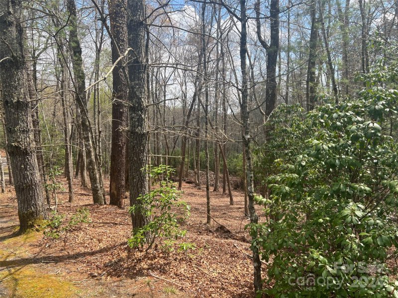 Property image 4 at 999 Sequoyah Woods Drive, Brevard, NC 28712