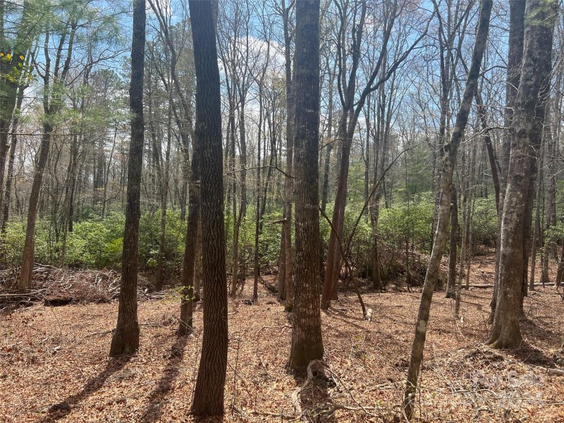 Property image 5 at 999 Sequoyah Woods Drive, Brevard, NC 28712