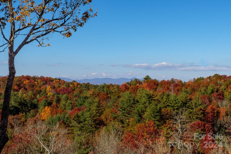 Property image 4 at 1219 Big Branch Road, Brevard, NC 28712