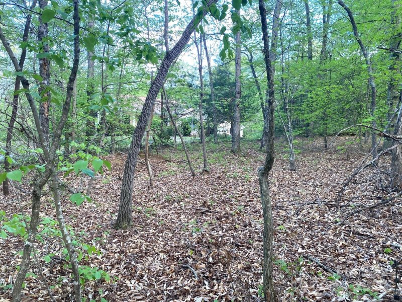 Property image 4 at 0 Beechwood Circle, Rutherfordton, NC 28139