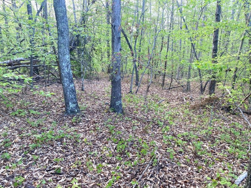 Property image 5 at 0 Beechwood Circle, Rutherfordton, NC 28139