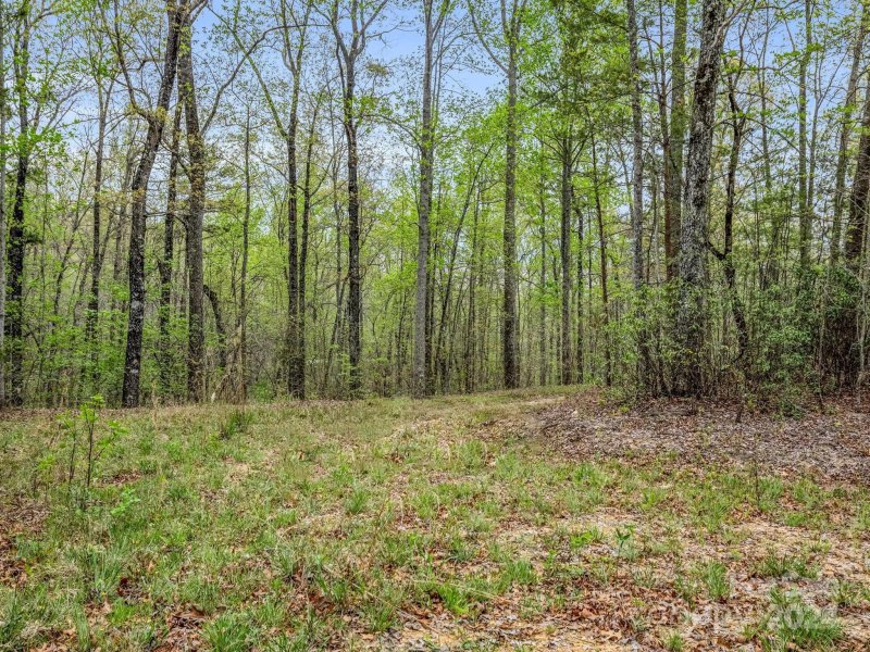 Property image 3 at 195 Hidden Hills Drive, Rutherfordton, NC 28139