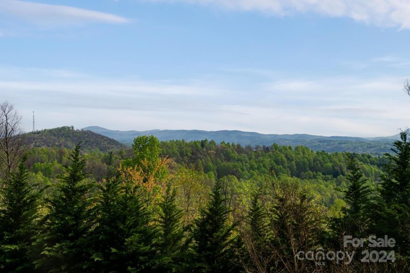 Property image 3 at 558 Falkirk Way, Zirconia, NC 28790