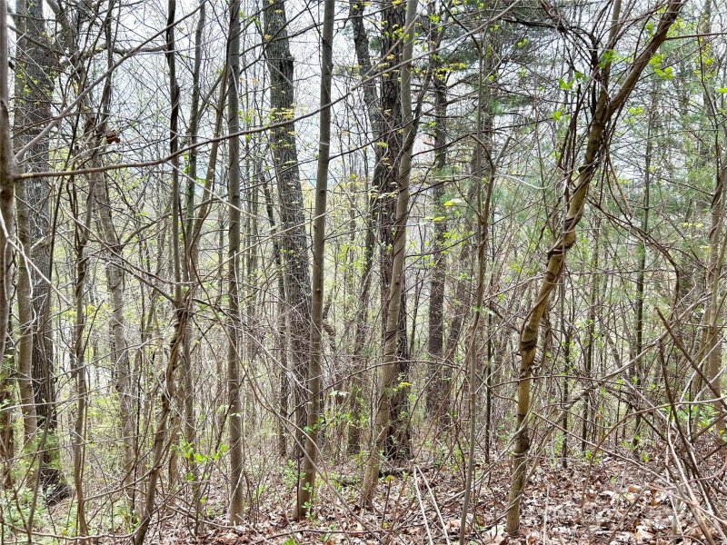 Property image 4 of 16 Waxwing Way in Versant, Asheville, NC 28804