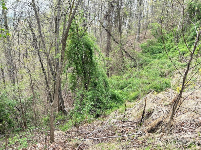 Property image 5 of 16 Waxwing Way in Versant, Asheville, NC 28804