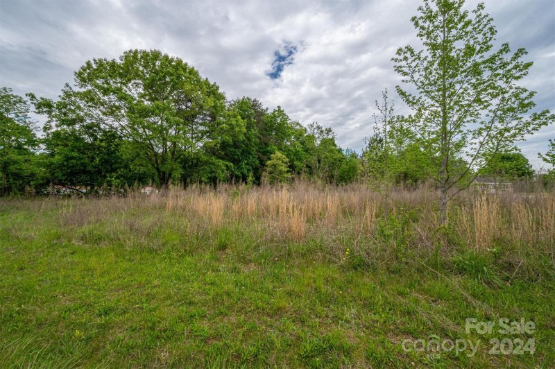 Property image 5 at 00 Cedar Grove Church Road, Vale, NC 28168