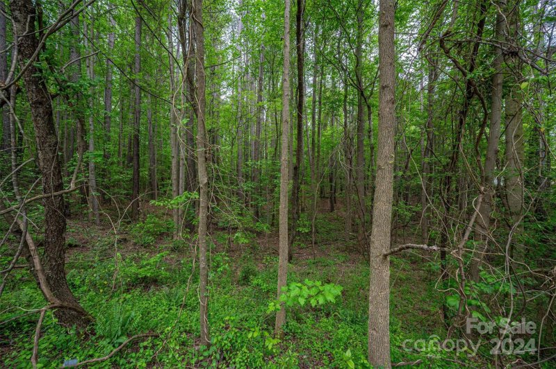 Property image 5 at 25 Knottywood Lane, Vale, NC 28168