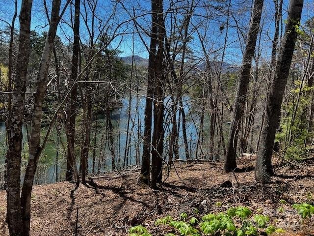 Property image 3 at Lot 18 Summer Lane, Mill Spring, NC 28756