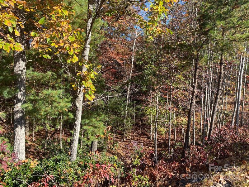 Property image 3 at Lot 18 15 Waters Edge Drive, Nebo, NC 28761