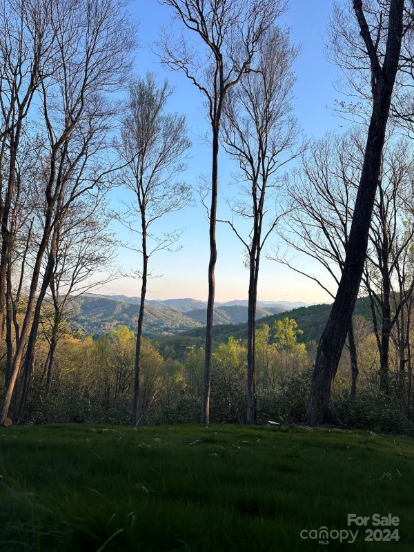 Property image 4 at 0000 Hemlock Grove Trail, Hendersonville, NC 28792