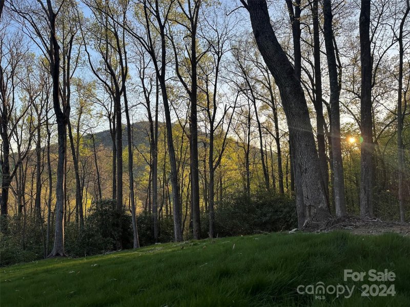 Property image 5 at 0000 Hemlock Grove Trail, Hendersonville, NC 28792