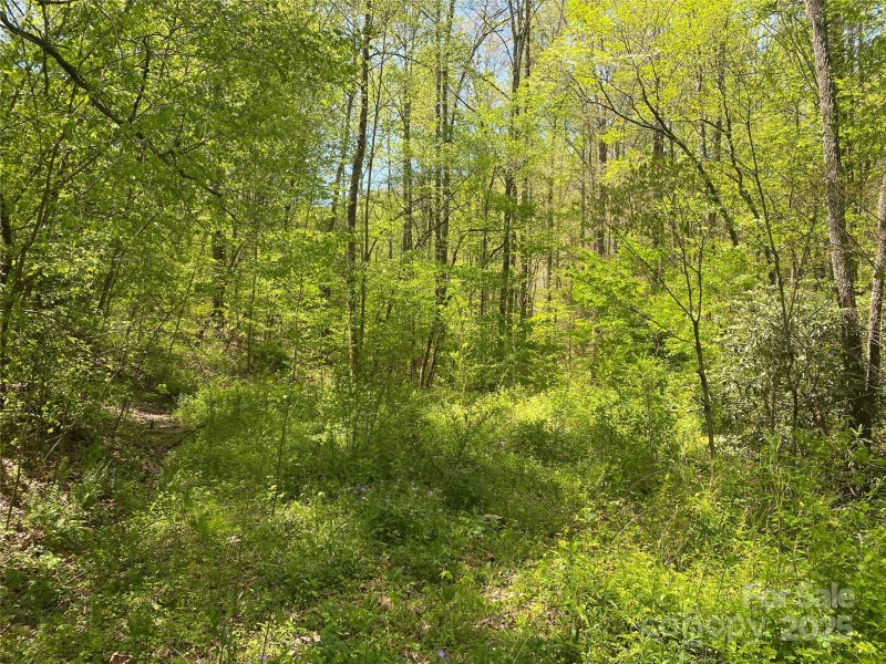 Property image 5 of Lot 22 Eagle Ridge Circle in Smoky Mountain Country Club, Whittier, NC 28789