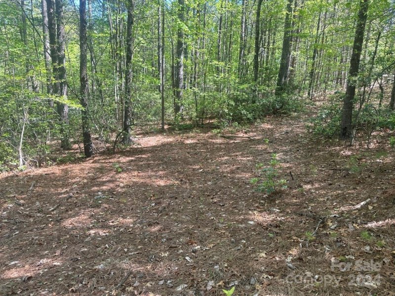 Property image 2 at Lot 11 Pisgah Preserve Drive, Nebo, NC 28761