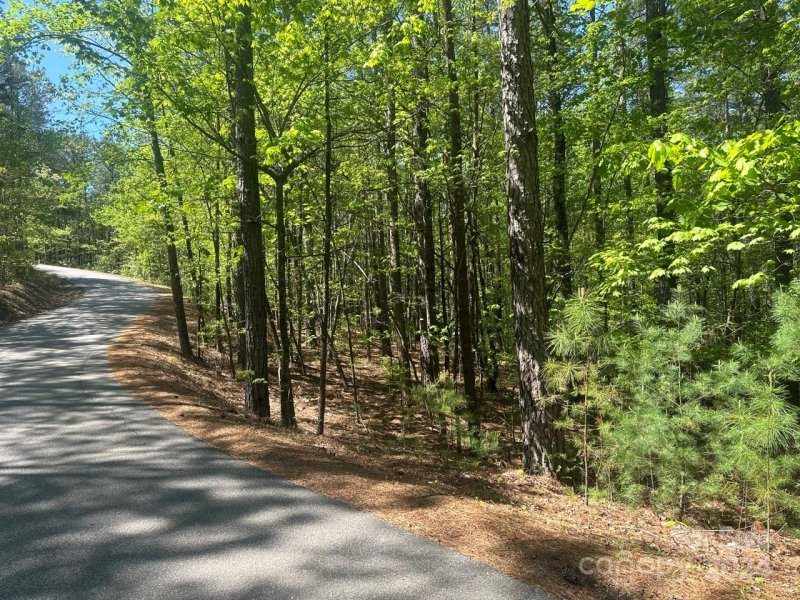 Property image 3 at Lot 11 Pisgah Preserve Drive, Nebo, NC 28761