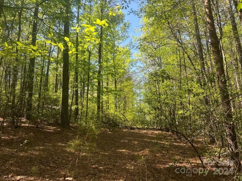 Property image 4 at Lot 11 Pisgah Preserve Drive, Nebo, NC 28761