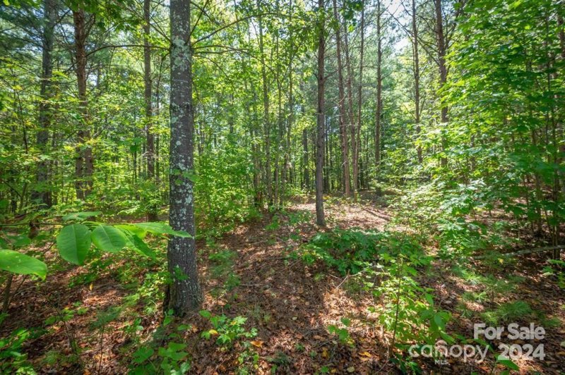 Property image 2 at 1082 Greene Court, Morganton, NC 28655