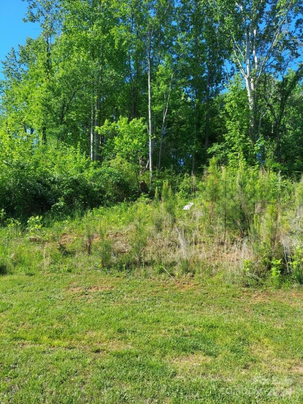 4032 Brandy Creek Court