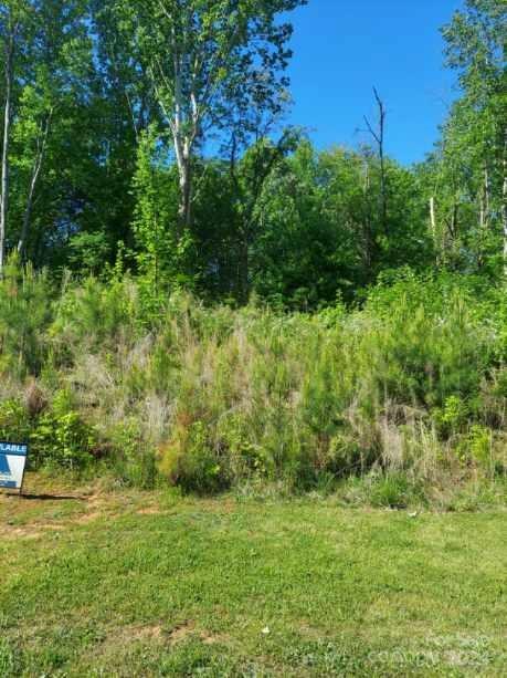 Property image 2 at 4032 Brandy Creek Court, Clover, SC 29710