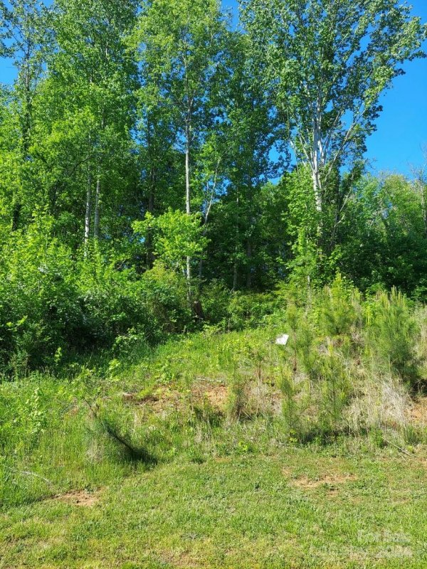 Property image 3 at 4032 Brandy Creek Court, Clover, SC 29710