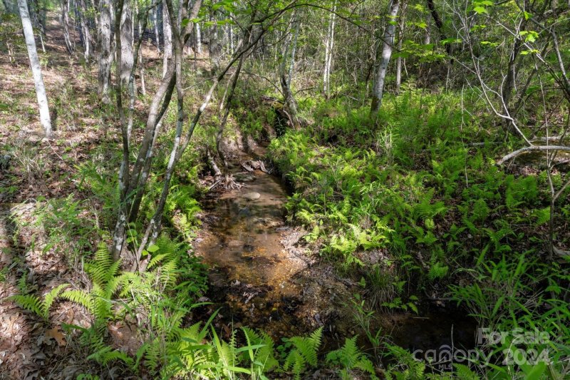 Property image 4 of 99999 Shady Bark Lane in Ole Plantation, Rutherfordton, NC 28139