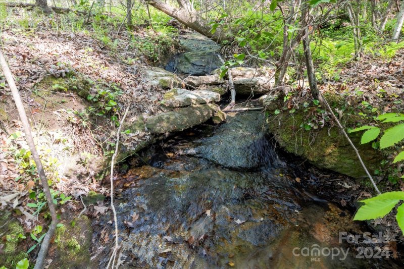 Property image 5 of 99999 Shady Bark Lane in Ole Plantation, Rutherfordton, NC 28139