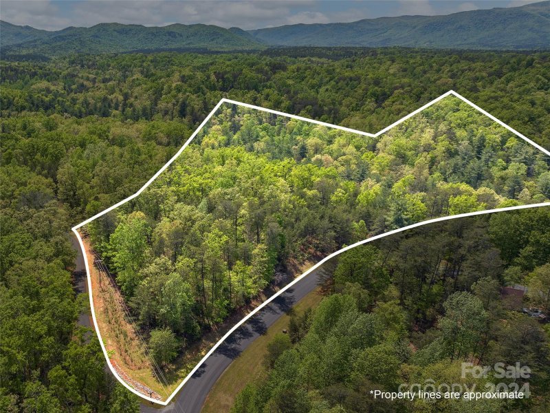 Property image 2 at 000 Lake Adger Parkway, Mill Spring, NC 28756