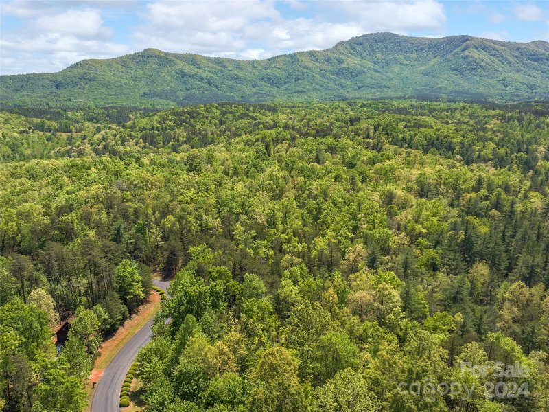 Property image 4 at 000 Lake Adger Parkway, Mill Spring, NC 28756