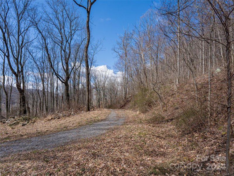 Property image 4 at 17 Twin Springs Court, Fairview, NC 28730